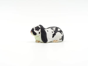 Miniature Black & White Rabbit