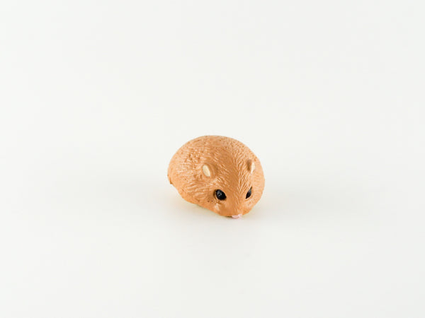 Miniature Brown Hamster