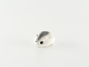 Miniature White & Grey Hamster