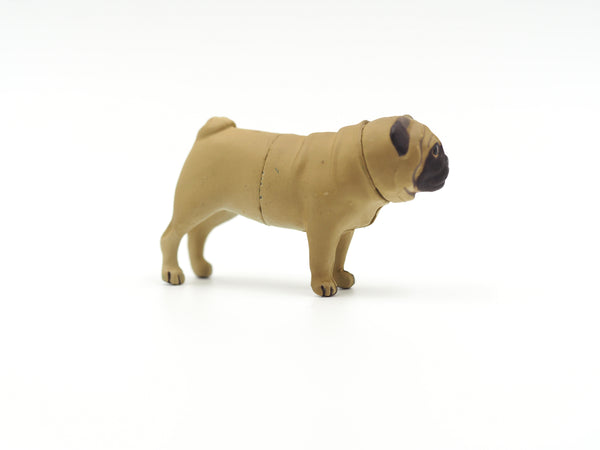 Miniature Brown Pug